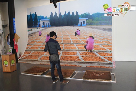 梅問屋梅子元氣館 045.jpg