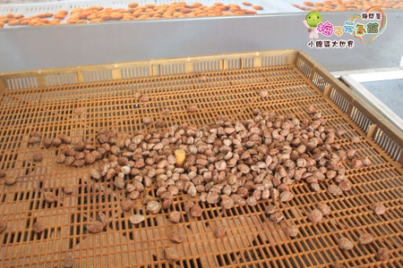 梅問屋梅子元氣館 046.jpg