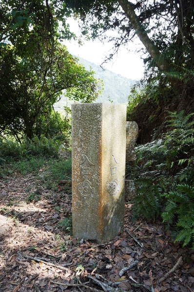 埔里農會酒莊：鯉魚潭賞景 vs 埔里農會酒莊 - 紹興米糕枝仔冰