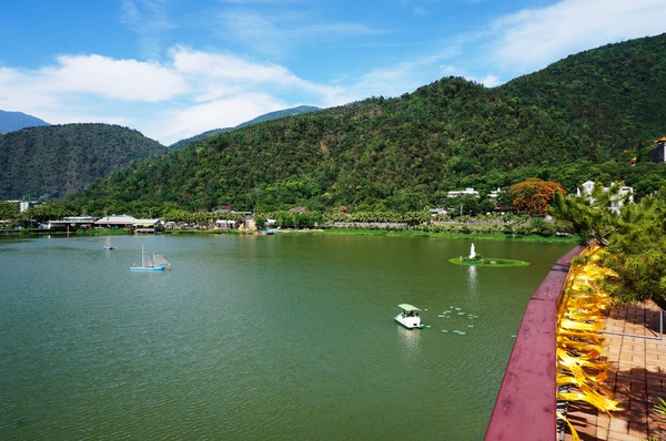 埔里農會酒莊：鯉魚潭賞景 vs 埔里農會酒莊 - 紹興米糕枝仔冰