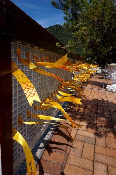 埔里農會酒莊：鯉魚潭賞景 vs 埔里農會酒莊 - 紹興米糕枝仔冰