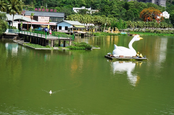 埔里農會酒莊：鯉魚潭賞景 vs 埔里農會酒莊 - 紹興米糕枝仔冰