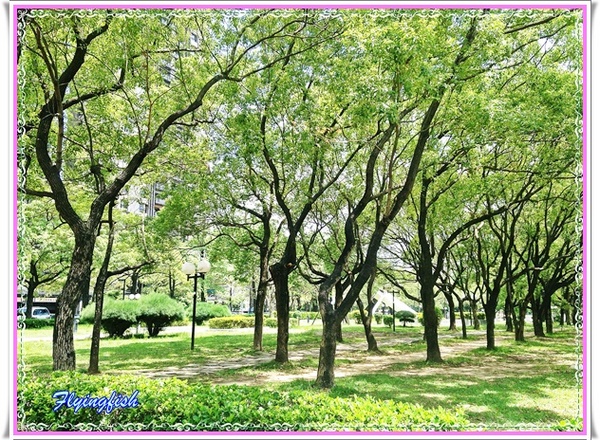 Patella 鍋子餐廳： ✜ 令人驚艷滴復古工業風美味地中海料理 - 台中「Patella 鍋子餐廳」+ 同場加映 :「日出(綠園道分店)」伴手禮 (◕‿◕)♥