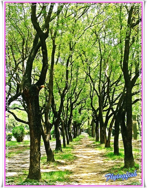 Patella 鍋子餐廳： ✜ 令人驚艷滴復古工業風美味地中海料理 - 台中「Patella 鍋子餐廳」+ 同場加映 :「日出(綠園道分店)」伴手禮 (◕‿◕)♥