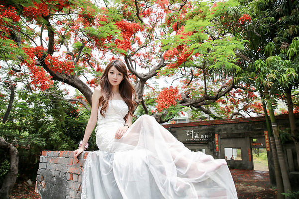 大湖蕃茄會社：【遊記】｛高雄。湖內區｝來企大湖蕃茄會社吃蕃茄