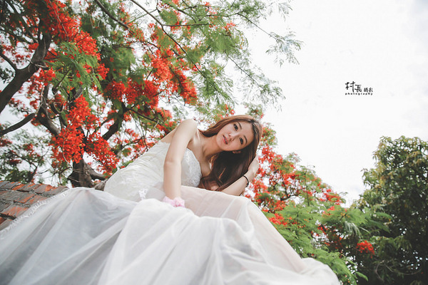 大湖蕃茄會社：【遊記】｛高雄。湖內區｝來企大湖蕃茄會社吃蕃茄