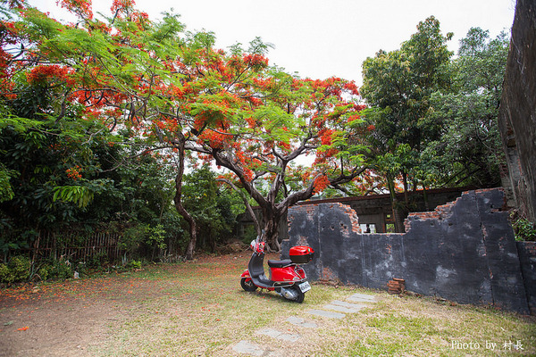 大湖蕃茄會社：【遊記】｛高雄。湖內區｝來企大湖蕃茄會社吃蕃茄