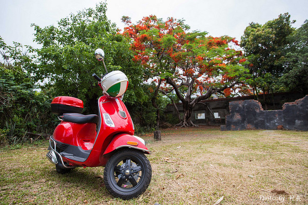大湖蕃茄會社：【遊記】｛高雄。湖內區｝來企大湖蕃茄會社吃蕃茄