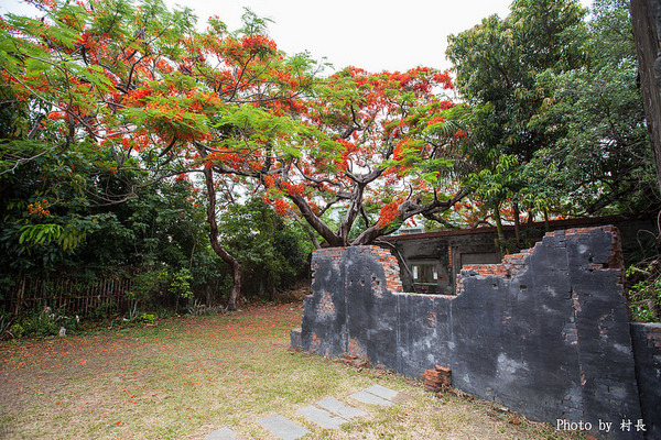 大湖蕃茄會社：【遊記】｛高雄。湖內區｝來企大湖蕃茄會社吃蕃茄