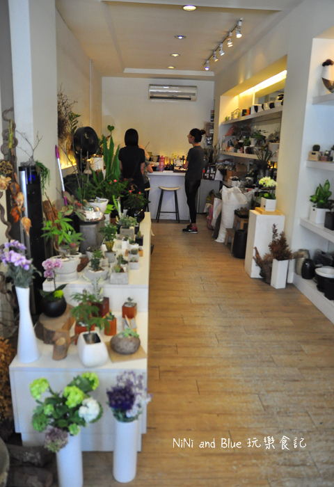 台南日光夏蘭多肉植物15