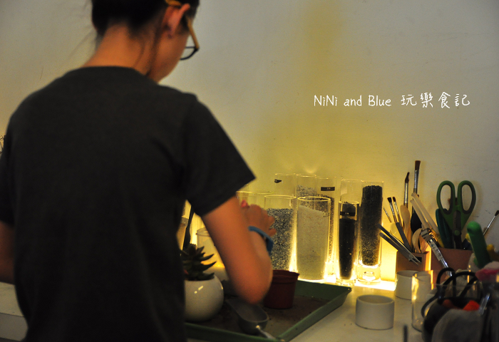 台南日光夏蘭多肉植物25