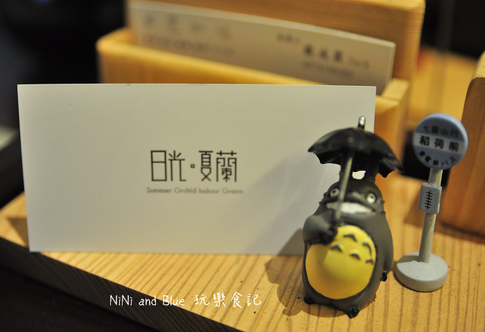 台南日光夏蘭多肉植物26