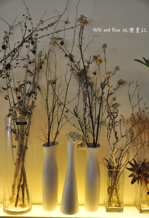 台南日光夏蘭多肉植物10