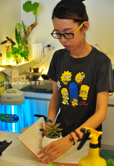 台南日光夏蘭多肉植物28