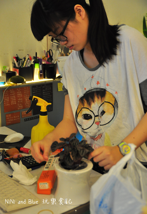 台南日光夏蘭多肉植物24