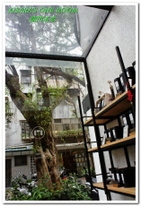 開門茶堂：民生社區伴手禮．天光綠意下輕鬆品味台灣茶的故事──開門茶堂