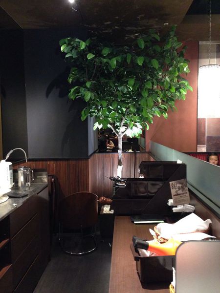 11291968_1080217201993421_68155879_n