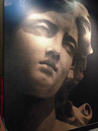 11355424_1080219091993232_663571051_n