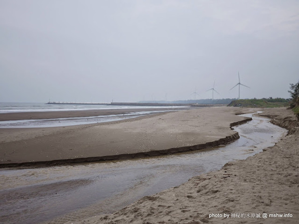 假日之森：【景點】苗栗假日之森白砂海岸@竹南濱海休憩區 : 沒有比基尼辣妹的白沙灘與防風林, 可以悠閒放鬆一整天…