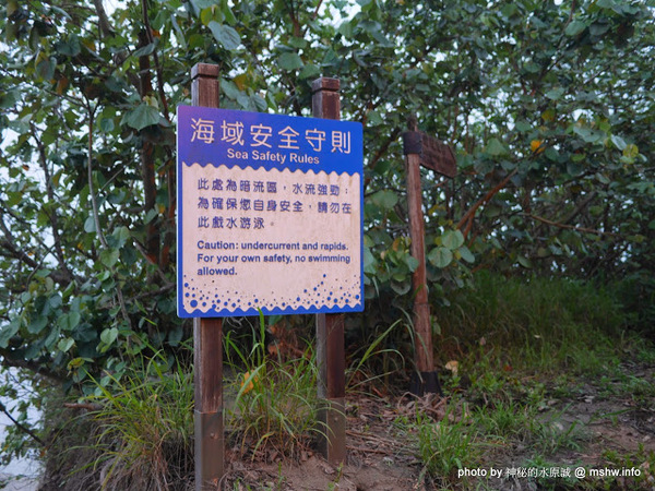 假日之森：【景點】苗栗假日之森白砂海岸@竹南濱海休憩區 : 沒有比基尼辣妹的白沙灘與防風林, 可以悠閒放鬆一整天…