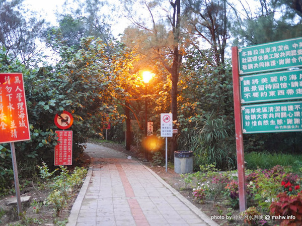 假日之森：【景點】苗栗假日之森白砂海岸@竹南濱海休憩區 : 沒有比基尼辣妹的白沙灘與防風林, 可以悠閒放鬆一整天…