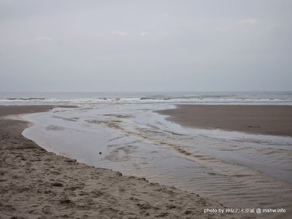 假日之森：【景點】苗栗假日之森白砂海岸@竹南濱海休憩區 : 沒有比基尼辣妹的白沙灘與防風林, 可以悠閒放鬆一整天…