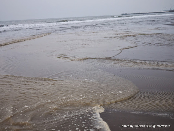 假日之森：【景點】苗栗假日之森白砂海岸@竹南濱海休憩區 : 沒有比基尼辣妹的白沙灘與防風林, 可以悠閒放鬆一整天…