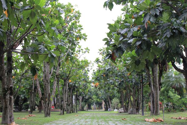 花蓮旅館，花蓮飯店，怡園渡假村，立川魚場