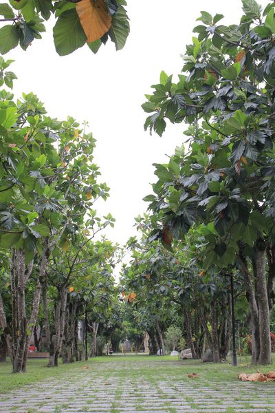花蓮旅館，花蓮飯店，怡園渡假村，立川魚場