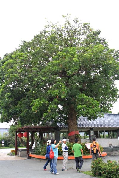 花蓮旅館，花蓮飯店，怡園渡假村，立川魚場