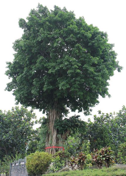 花蓮旅館，花蓮飯店，怡園渡假村，立川魚場