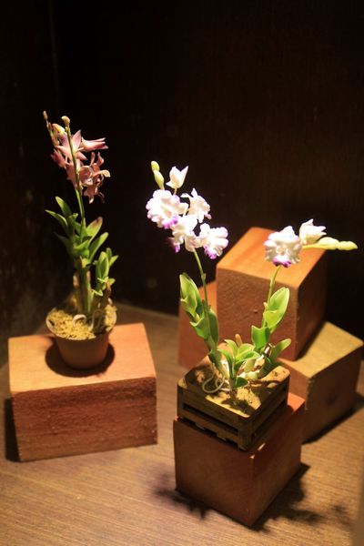 花蓮旅館，花蓮飯店，怡園渡假村，立川魚場