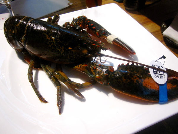 愛新覺羅 原味‧鮮採嚴煮：【台北市】萬古龍蝦石板燒火鍋雙人套餐-愛新覺羅 原味‧鮮採嚴煮