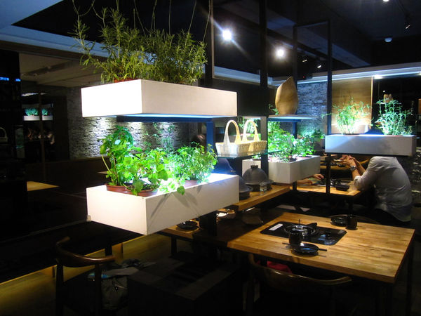 愛新覺羅 原味‧鮮採嚴煮：【台北市】萬古龍蝦石板燒火鍋雙人套餐-愛新覺羅 原味‧鮮採嚴煮