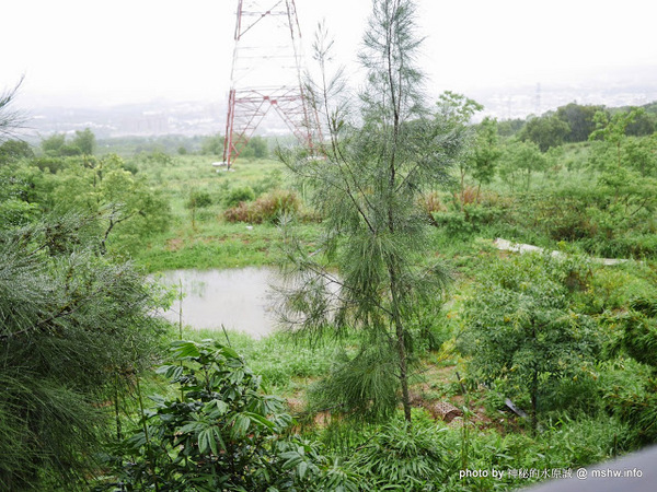 岳家庄夜景咖啡廳:【食記】台中岳家庄夜景咖啡廳.夜生活@沙鹿東海藝術街&都會公園後山 : 以咖啡,輕食,披薩與鐵塔佐海線夜景…