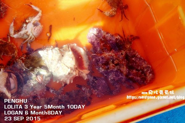 東海一日遊 (227).JPG