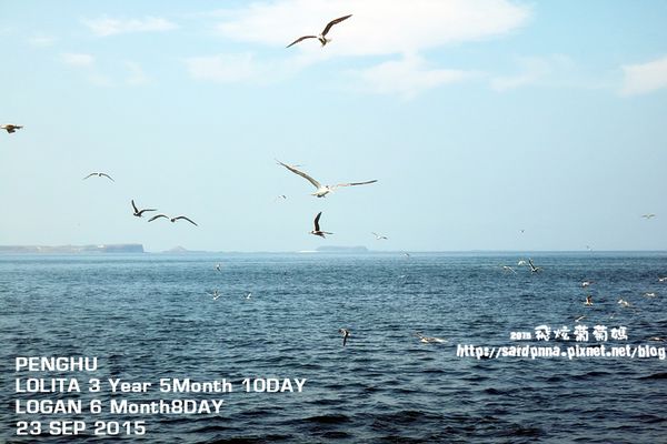 東海一日遊 (134).JPG