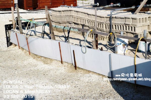 東海一日遊 (308).JPG