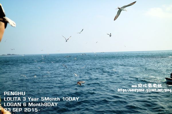 東海一日遊 (202).JPG