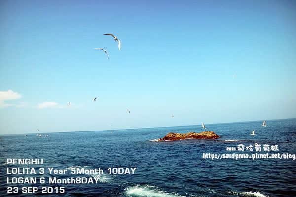 東海一日遊 (95).JPG