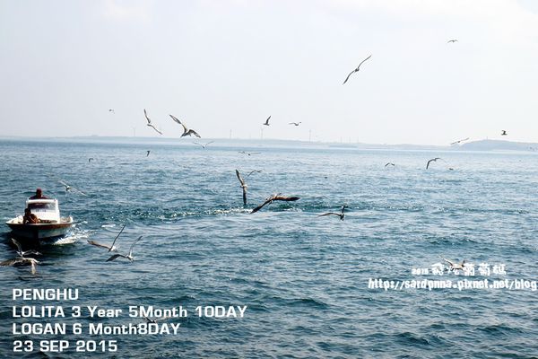 東海一日遊 (197).JPG