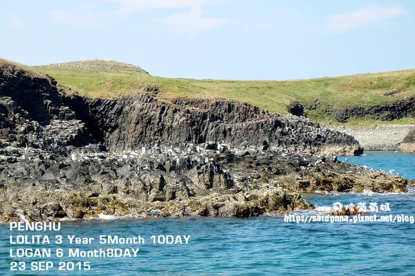 東海一日遊 (166).JPG