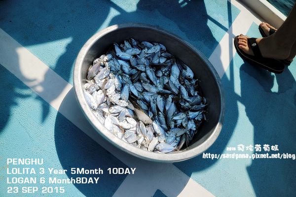 東海一日遊 (102).JPG