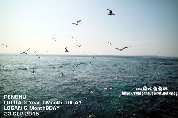 東海一日遊 (161).JPG