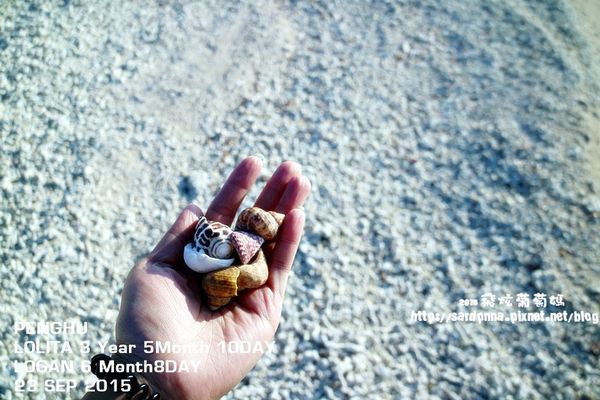 東海一日遊 (323).JPG