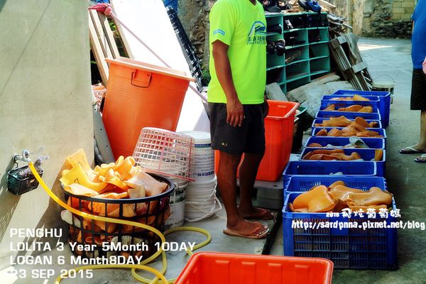 東海一日遊 (55).JPG