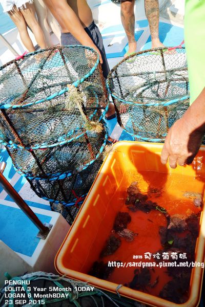 東海一日遊 (226).JPG