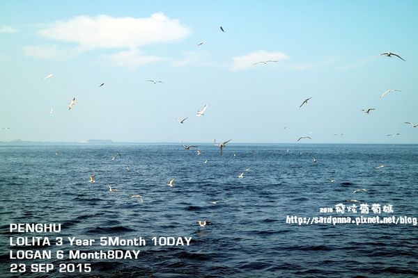 東海一日遊 (133).JPG