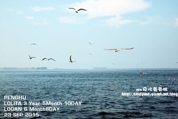 東海一日遊 (135).JPG