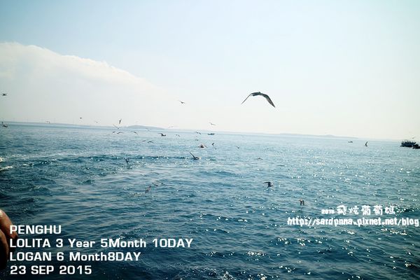 東海一日遊 (195).JPG